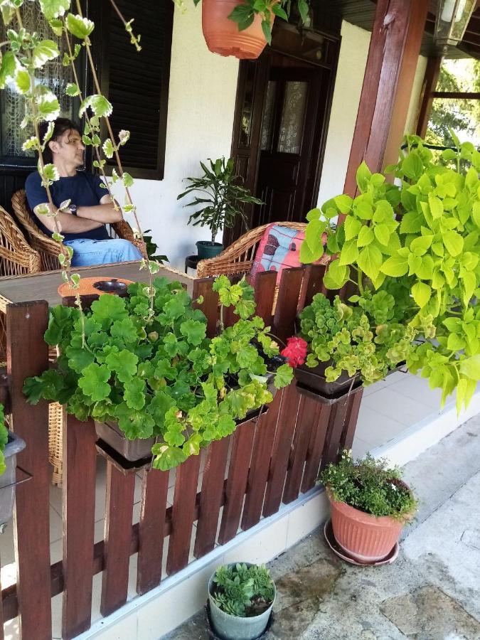 Ferienwohnung Savinacki kutak Takovo Exterior foto